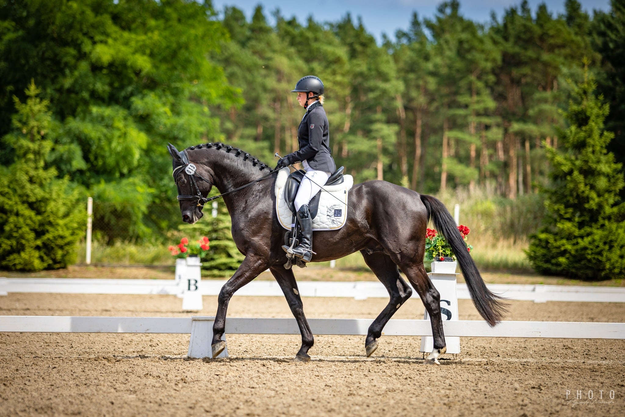 Read more about the article Top Dressage Talents Montenero